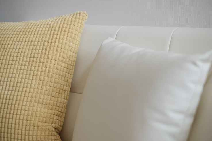 菅沼ゆりセレクトのクッション